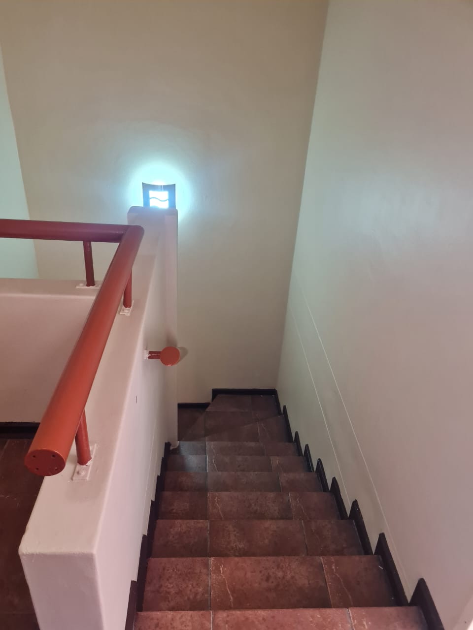 316033448.jpg