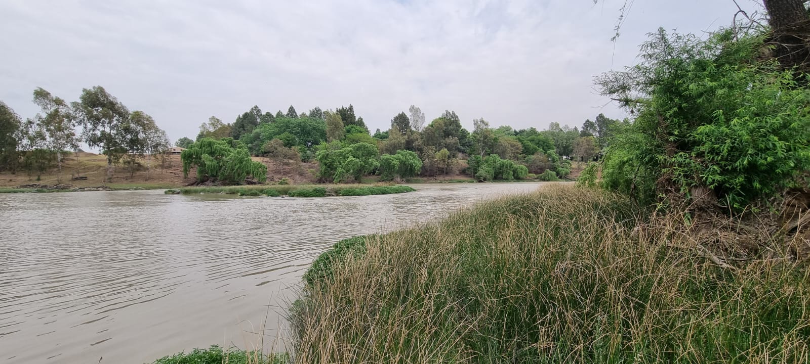 Farm for Sale - Gauteng