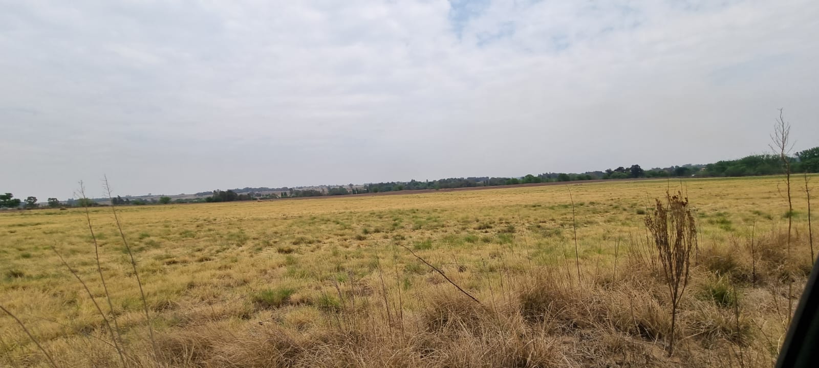 317914170.jpg