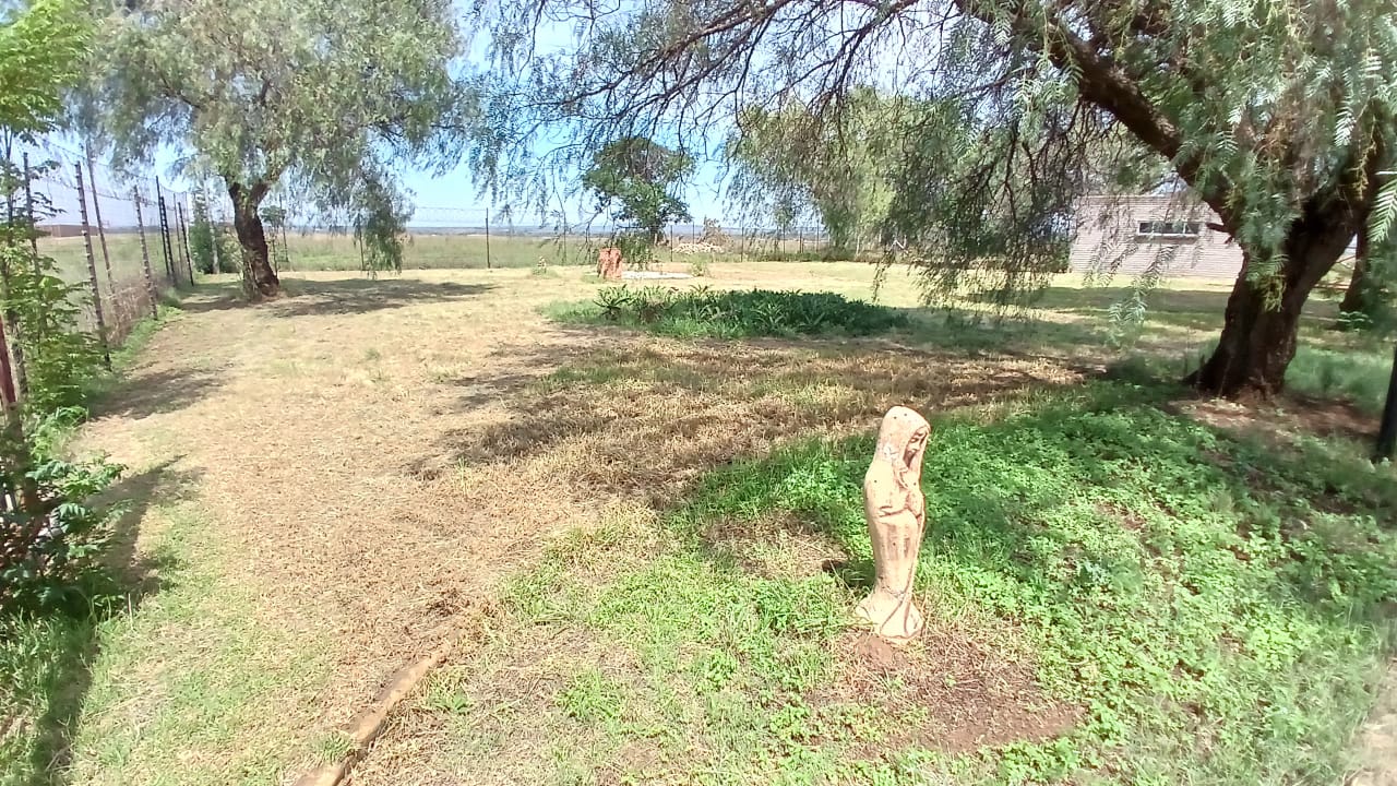325671182.jpg
