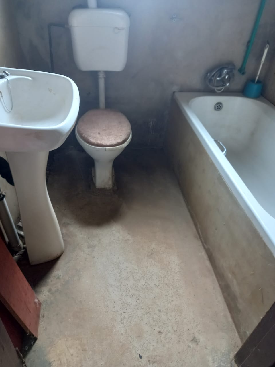 331155803.jpg