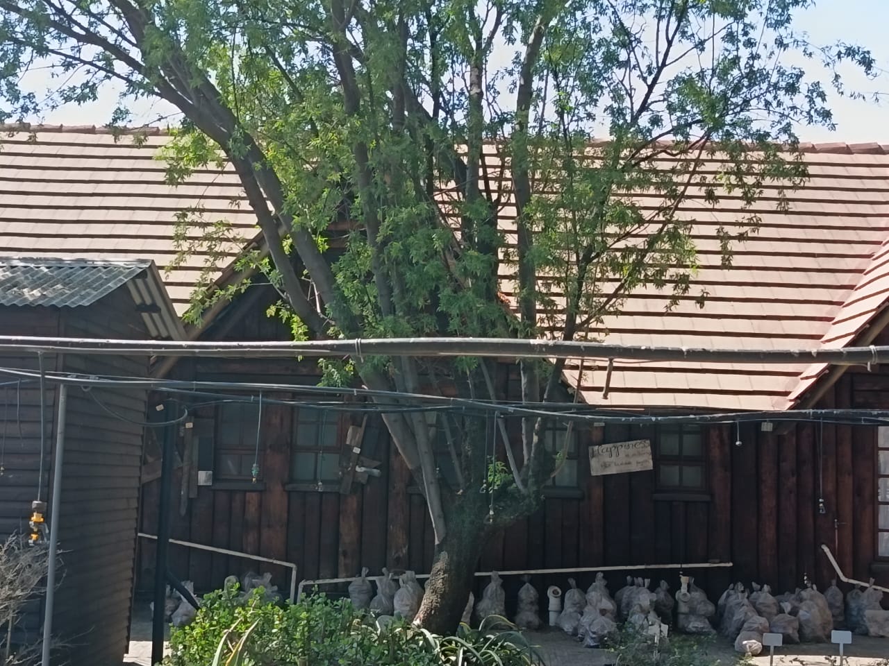 340942825.jpg