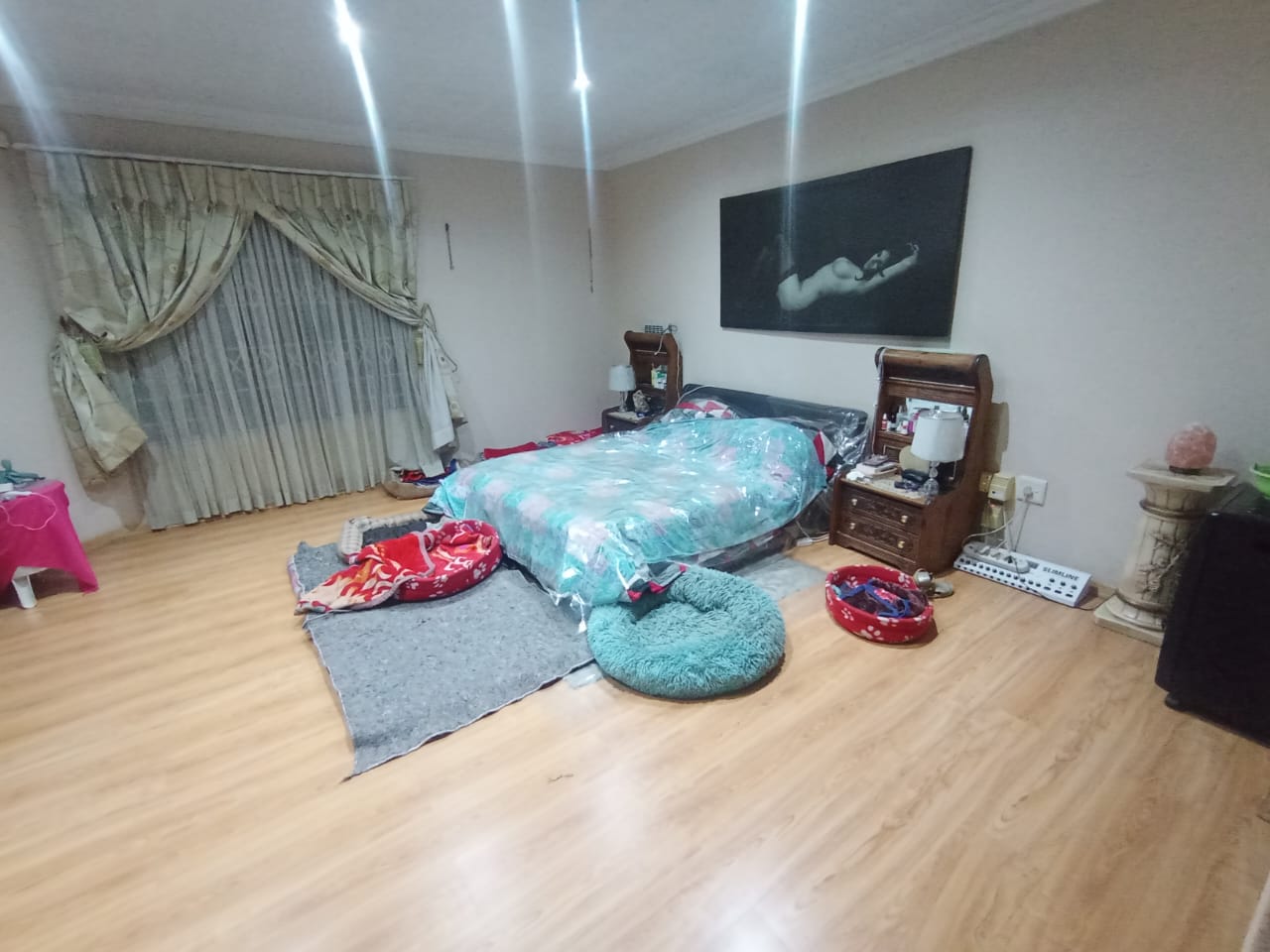 342330703.jpg