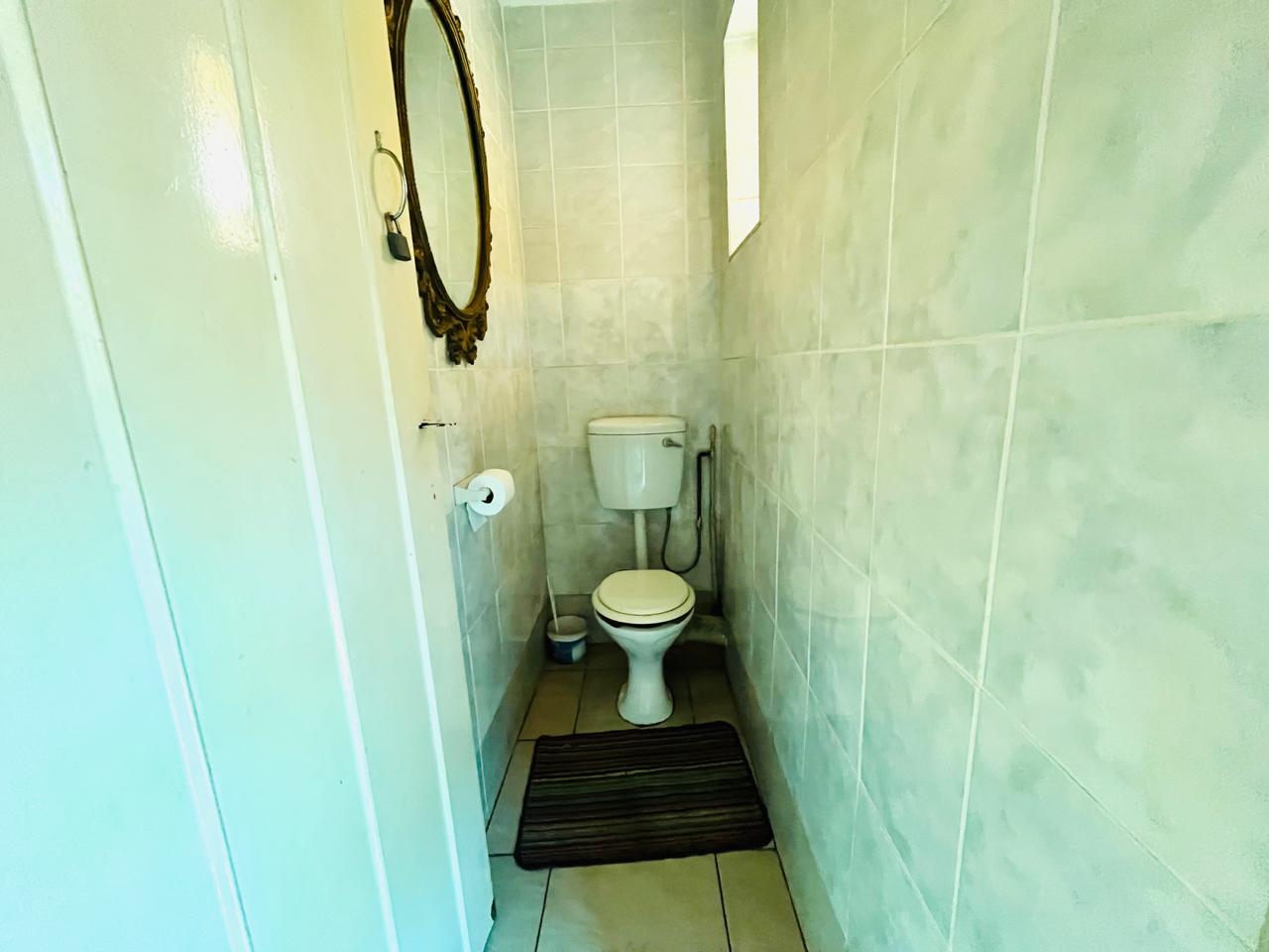347629313.jpg