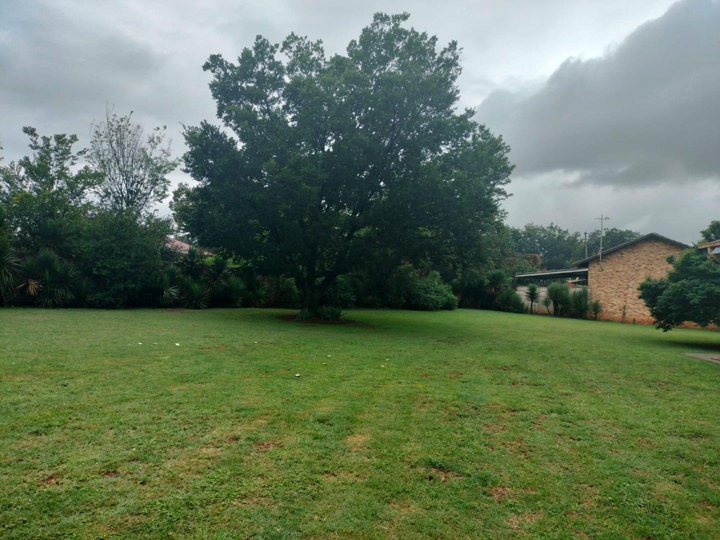 351598477.jpg