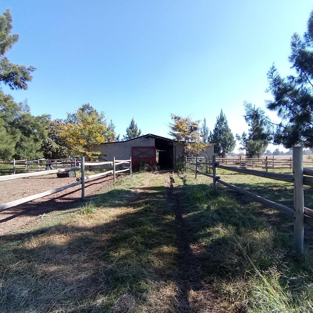 750943_IMG-20250527-WA0105.jpg